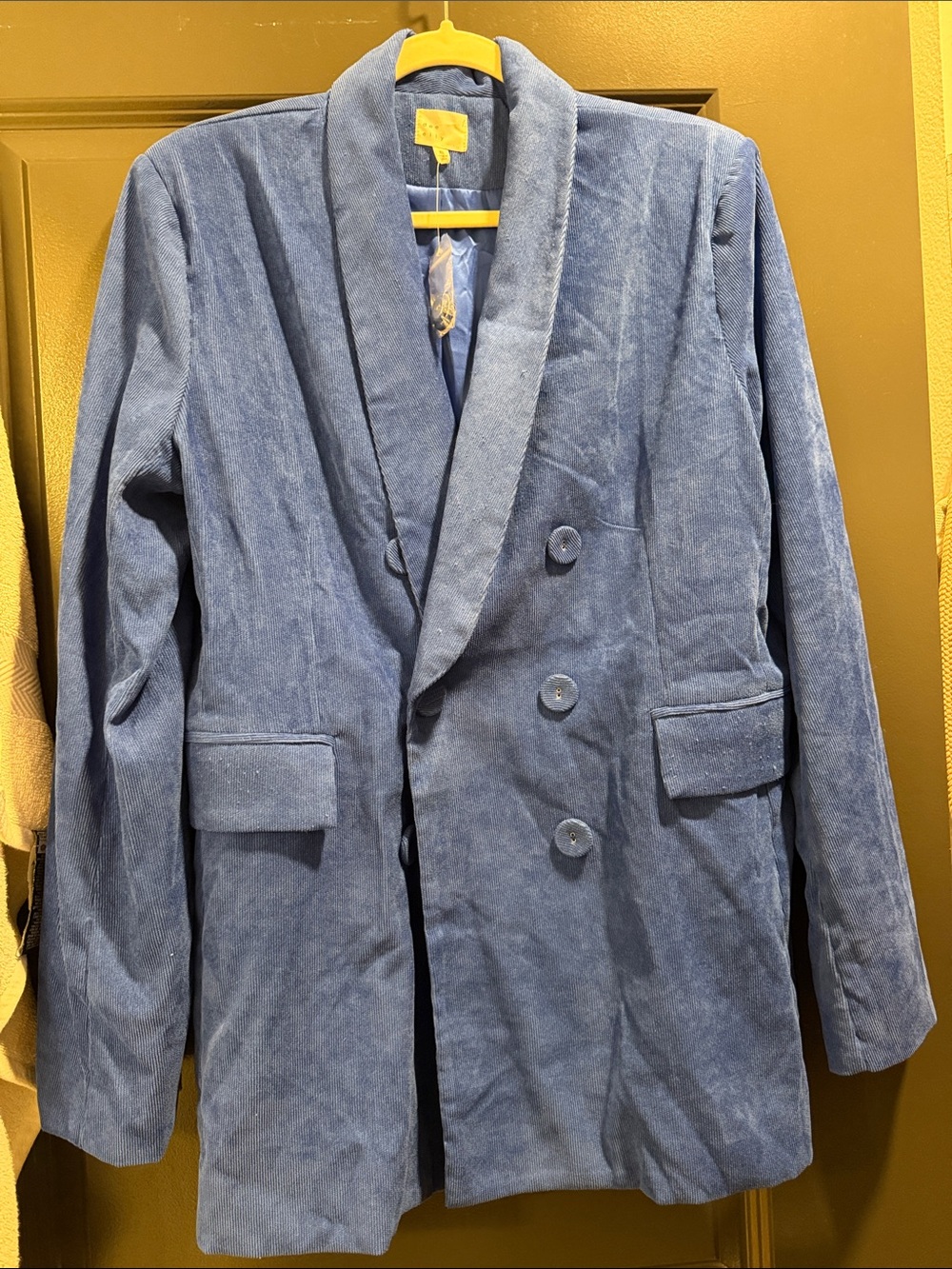 Blue Blazer